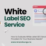 White Label SEO Service