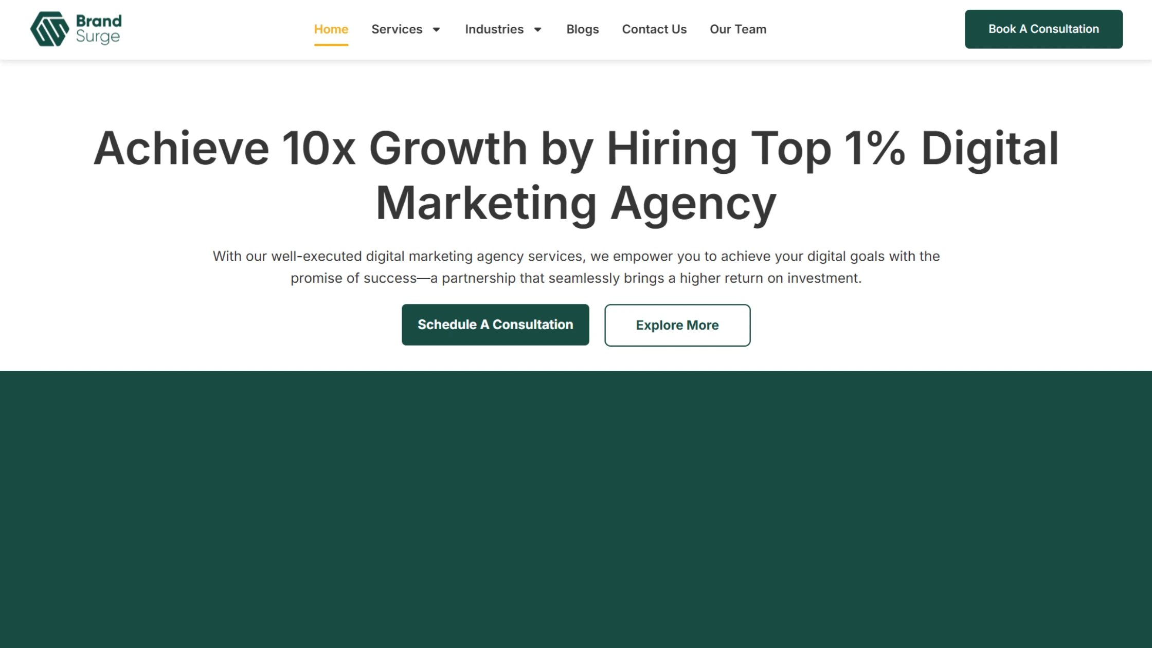 hero section of brand surge website. a digital marketing agency austin tx.