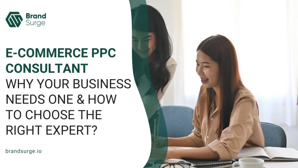 E-commerce PPC Consultant, cover image of Brand Surge blog.